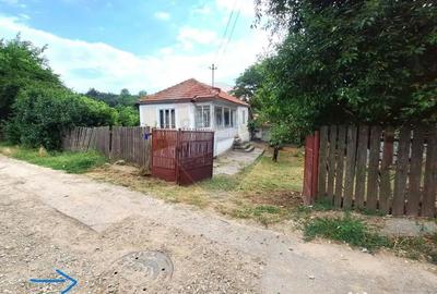 Casă cu 2 camere cu Teren 5361 Mp în Homești - 12