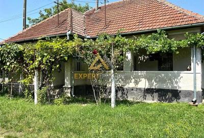 Casă cu 3 camere cu Teren 3120 Mp în Hideaga - 3