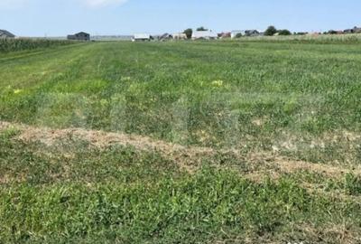 Teren de 9782 mp, în Central - 1