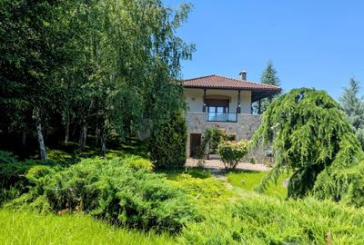 Mogosoaia,vila robusta cu vedere spectaculoasa catre lac,palat,parc,1750mp teren - 9