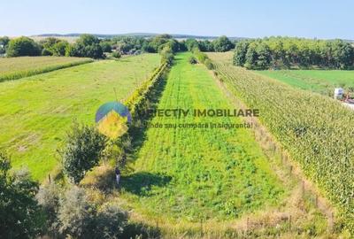 TEREN intravilan  6764 mp DRAGOMIRESTI - VAD - 1