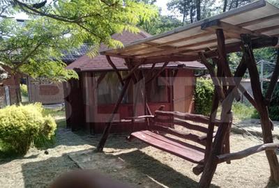 Casă cu 5 camere cu Teren 745 Mp în Central - 7