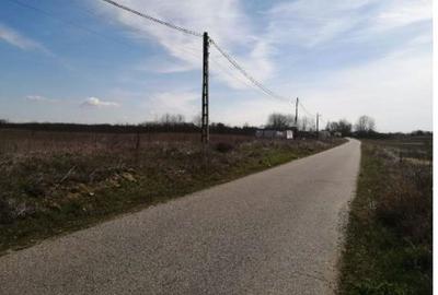 Teren de 4582 mp, în Jiana - 1