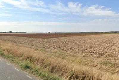 Teren extravilan localitatea Nuci, Ilfov - 1