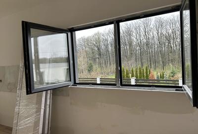 Casă cu 3 camere în Horea - 2