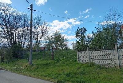 Spațiu comercial, în Traian - 3