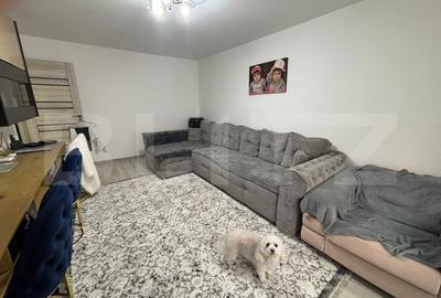 Apartament cu 3 camere decomandat, mobilat în Frumoasa - 2