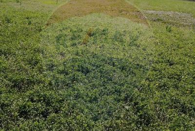 Spațiu comercial, în Tărian - 3