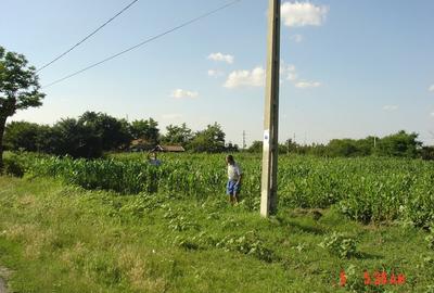 Teren de 2500 mp, în Sălcioara - 1