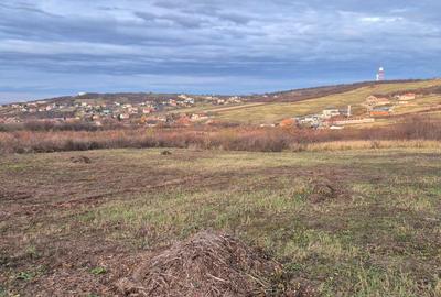 Teren de 800 mp, în Exterior Vest