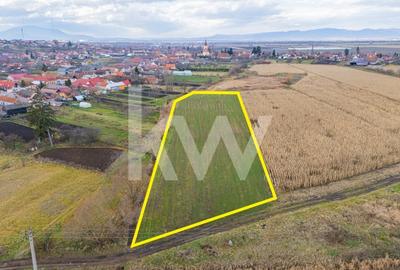 Teren 10000 mp in Extravilan, Bod, Brasov- COMISION 0% - 2