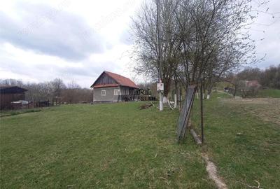 Teren de 9370 mp, în Țebea - 9
