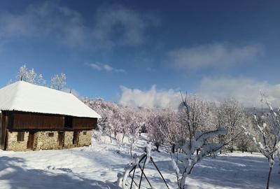 Teren superb, in mijlocul pădurii - 14