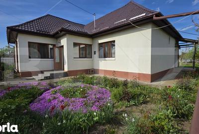 Casă cu 1 camere cu Teren 1430 Mp în Central - 7