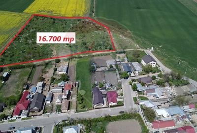 Teren Intravilan 16.700 Roman jud. Neamt / Strada Visinilor