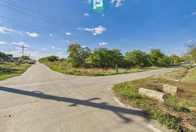 Teren intravilan 6115mp pentru investi?ii Firiteaz - 8