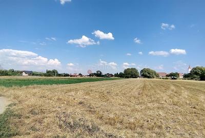 Teren Intravilan - 7