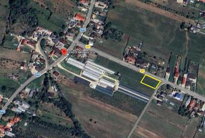 Teren de 1000 mp, în Valea Nandrii - 2