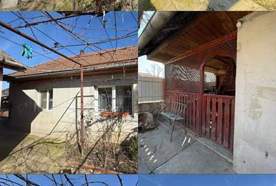 Casă cu 2 camere cu Teren 1100 Mp în Cadea - 1
