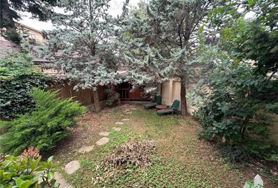 Casa/spatiu birou de inchiriat in zona Damaroaia - 4