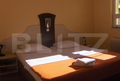 Pensiune de inchiriat, 450 mp, zona Lugojului Pensiune de inchiriat, 450 mp, zona Lugojului - 2