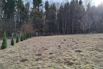 Teren intravilan | 1000 mp | de vanzare- Tocile, Sadu