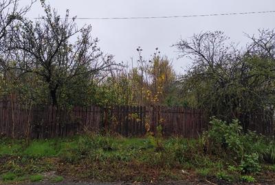 Casa batraneasca plus teren 1600mp Toporu jud. Giurgiu - 12