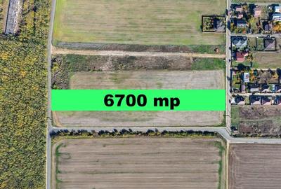 Dragomiresti Deal teren 6700 mp, padurea Ileana, utilitati, asfalt - 4