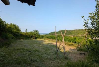 Sarata Bai- Oportunitate investi?ie- 4038 mp- priveli?te - 10