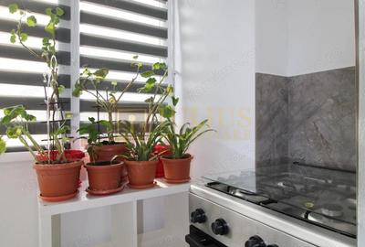 Lipovei, 3 camere, centrala proprie, pet-friendly - 14