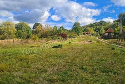 Teren de 2250 mp, în Ioanicești - 15