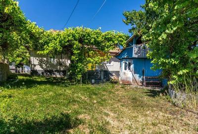 Casa cu gradina de vanzare in Copaceni - 4