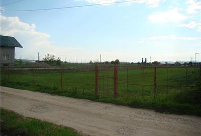 Teren de 4850 mp, în Budești - 2