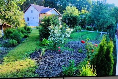 Proprietate de vanzare - 10