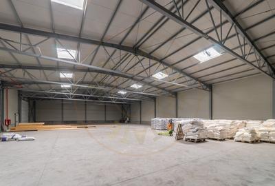 Inchiriere hala noua zona Bascov la DN 7C - 6