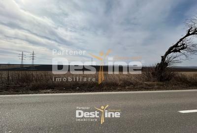 Teren Construcții intravilan de 1300 mp, în Căciulești - 4