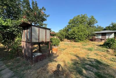 Casa cu teren generos de vanzare Radu Voda, jud. Calara?i - 9