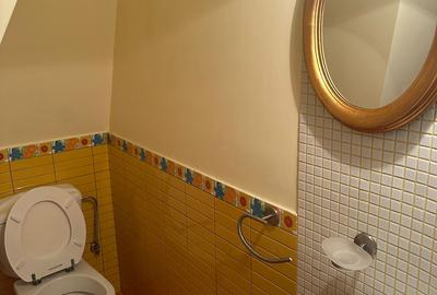 VILA CU IZ PROVENSAL  CU TEREN GENEROS SI PISCINA EXTERIOARA INCALZITA - 36