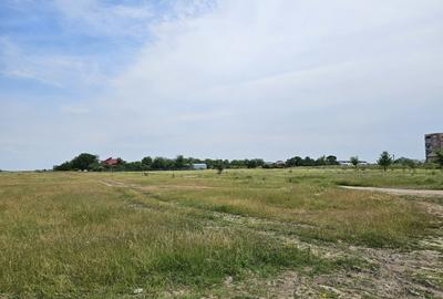 3000 m2 plasat exceptional, vest de Voluntari 3000 m2 plasat exceptional, vest de Voluntari - 6