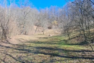 Spațiu comercial, în Podul Lung - 15