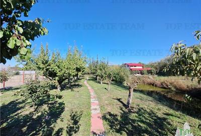 Vila 4+ camere, iaz cu peste, livada, 5300 mp teren, foisor, pivnta si crama, in - 1