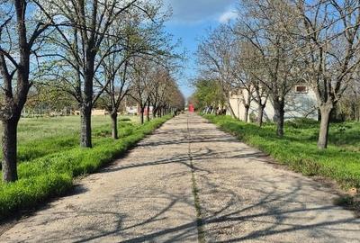 Teren Construcții intravilan de 500 mp, în Islaz - 4