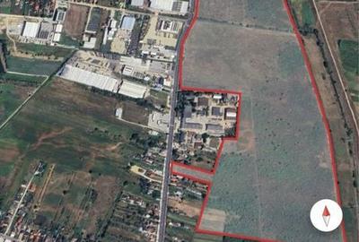 Spațiu comercial, în Mărăcineni - 6