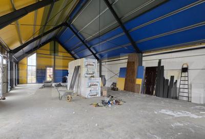 Hala metaloca 190 mp, teren 2400 mp, zona Doba - 1