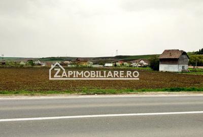 Teren 5800 mp,150m de Aeroport deschidere 58m la E60,20 euro - 2