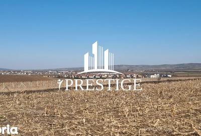 Teren de 417 mp, în Câineni - 4