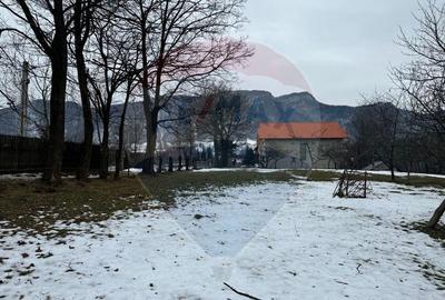 Teren Zarnesti /Bran/Predelut6 Strada Pe tarina Teren Zarnesti /Bran/Predelut6 Strada Pe tarina - 8