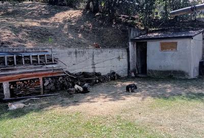 Vand casa -vila la Comarnic cu toate utilita?ile necesare. - 8