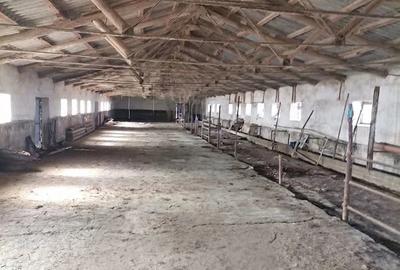 Spațiu comercial, de 2,500 mp, în Siliștea - 4