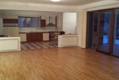 INCHIRIERE VILA 7 CAMERE - IANCU NICOLAE, PIPERA - 2